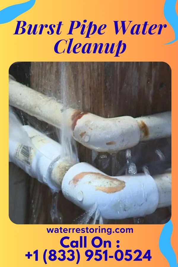 Burst Pipe Water Cleanup in Fort Wayne, IN