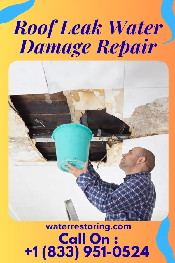 Roof Leak Water Damage Repair in Fort Wayne, IN