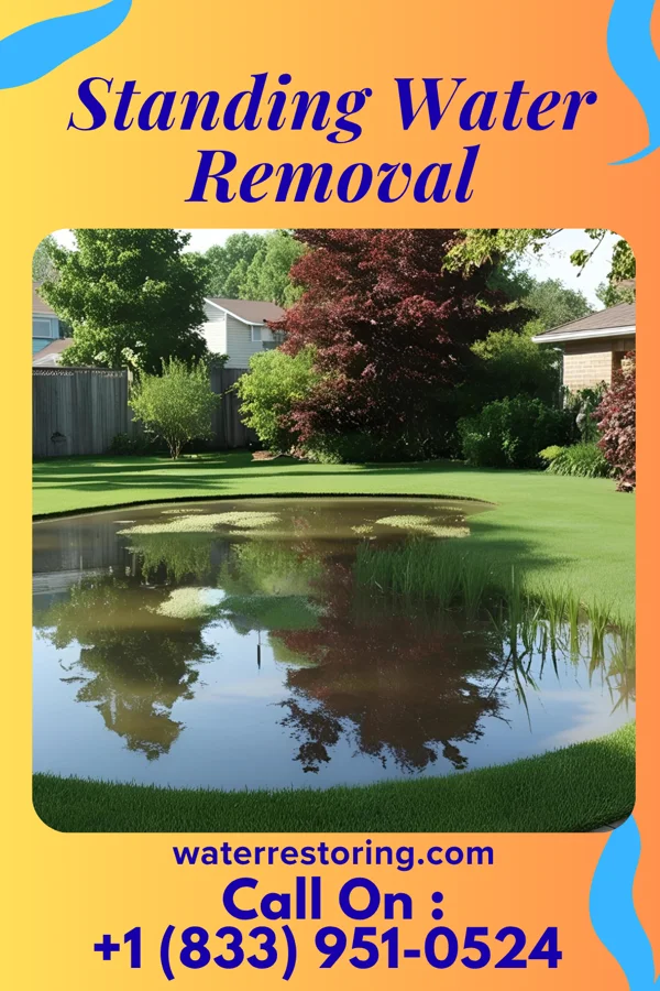 Standing Water Removal in Fort Wayne, IN